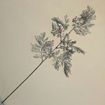 MKP004595002127-3