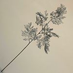 MKP004595002127-6
