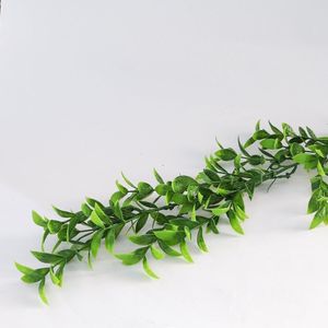 Acessório Para Jardim Vertical Eucalipto Folhas Redondas Gg041b Eucalipto