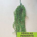 MKP000628353319-3