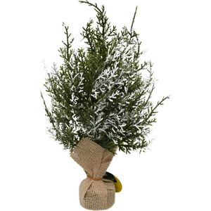 Enfeite Vaso Pinheiro Nevado - 30 Cm - Wincy Brasil