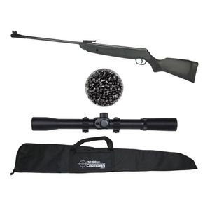 Carabina Pressão Rossi Dione Sport Up Luneta 4x20 Kit