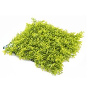 Jardim Vertical Samambaia Gg008a (pack 4pç - 1m²) Samambaia