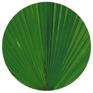 Sousplat Verde Folhagem Decorativa Mesa Posta Sala De Jantar