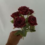 MKP004595002177-2
