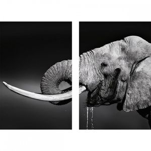 Quadro Decorativo Elefante Bebendo água 2 Telas