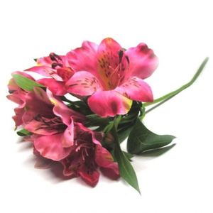 Galho Astromélia Pink Flor Permanente 50cm