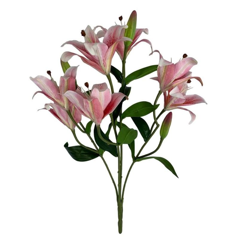 MKP004701000812-1