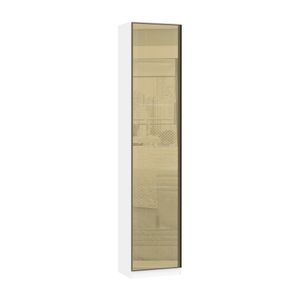 Guarda Roupa Sapateira 1 Porta 50cm Bronze Branco Ff Bronze