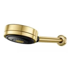 Chuveiro Technoshower Ouro Escovado Docol Dourado
