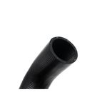 MKP005073016825-2