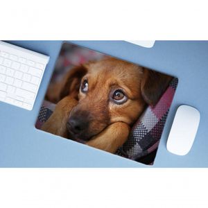 Mouse Pad Grande, Vira Lata