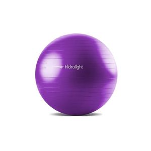 Bola De Exercícios 65cm Anti-burst - Roxa - Padrão: único