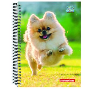 Cad Uni 10x1 200fls Panam Cães E Gatos C/3 5120