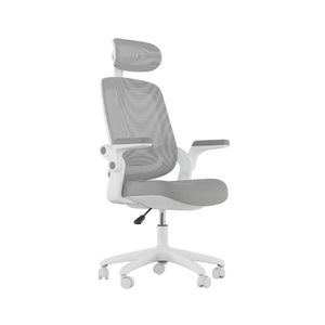 Cadeira De Escritorio Elements Astra Cinza/branco