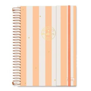 Caderno Espiral Colegial Criativo 1 Matéria Daydream 80 Folhas Aba E Elástico Cadersil Laranja