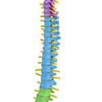 MKP001043001035-8
