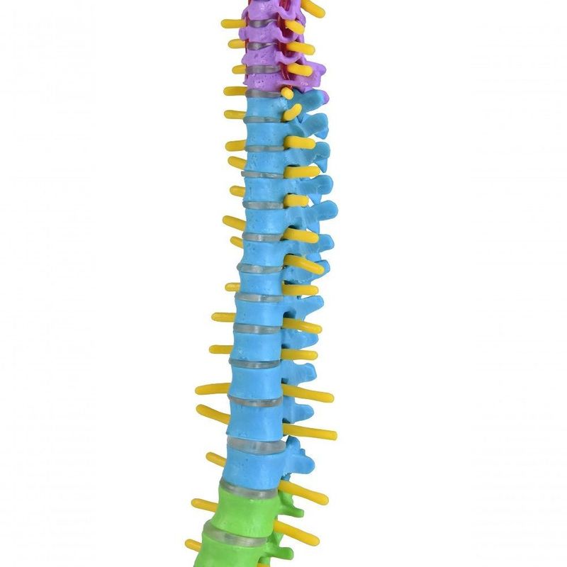 MKP001043001035-8
