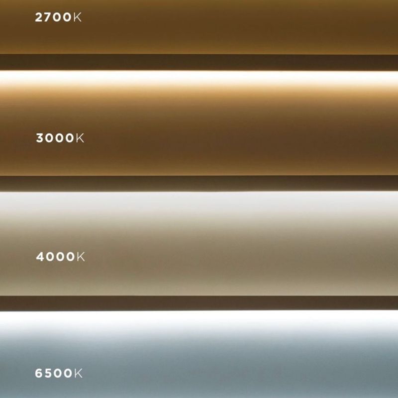 MKP004295004172-10