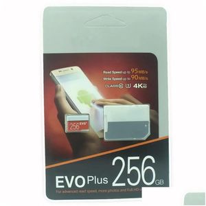 Cartao De Memoria De 256 Gb Evo