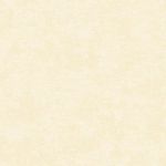 MKP005540000276-1