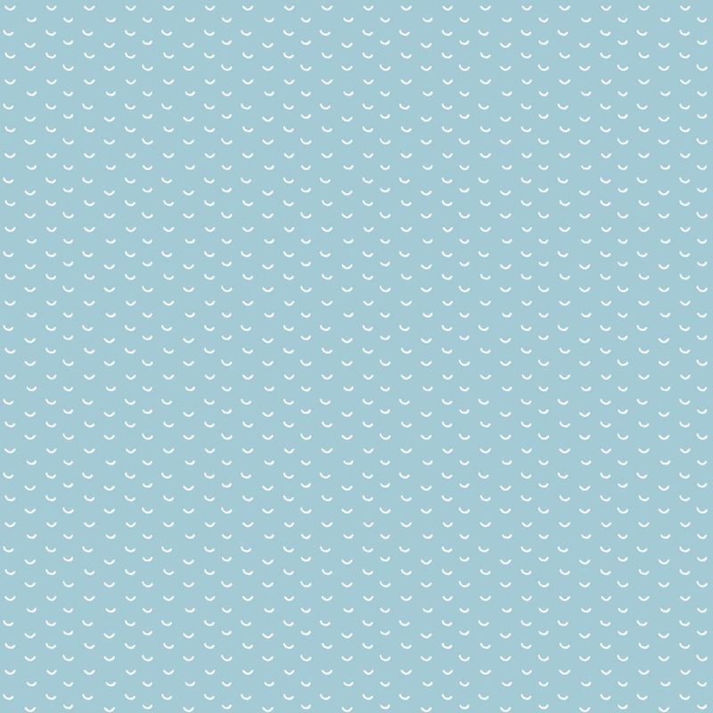 MKP005540010797-1