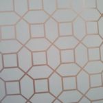 MKP005540009923-1
