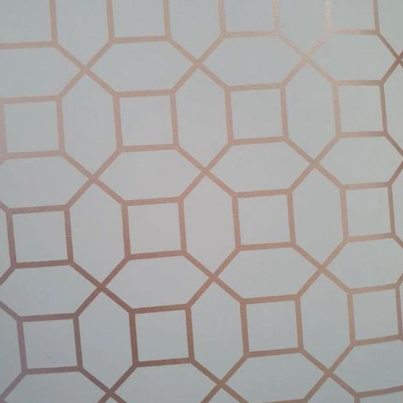 MKP005540009923-1