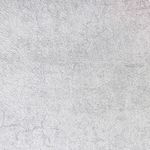 MKP005540009581-1
