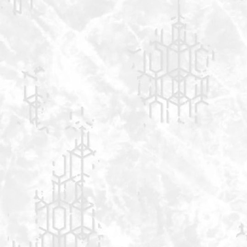 MKP005540009313-1