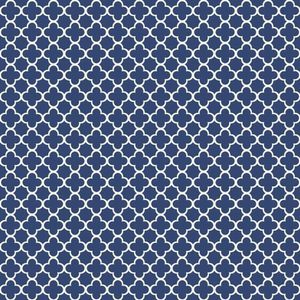 Papel De Parede Waverly Kids Framework Wk6890 - Rolo 10m X 0,52m