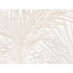 MKP005540004741-2