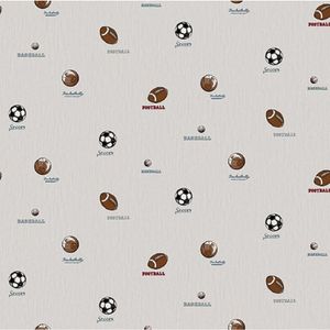 Papel De Parede All Kids Esportes H2910505 Rolo 10m X 0,53m