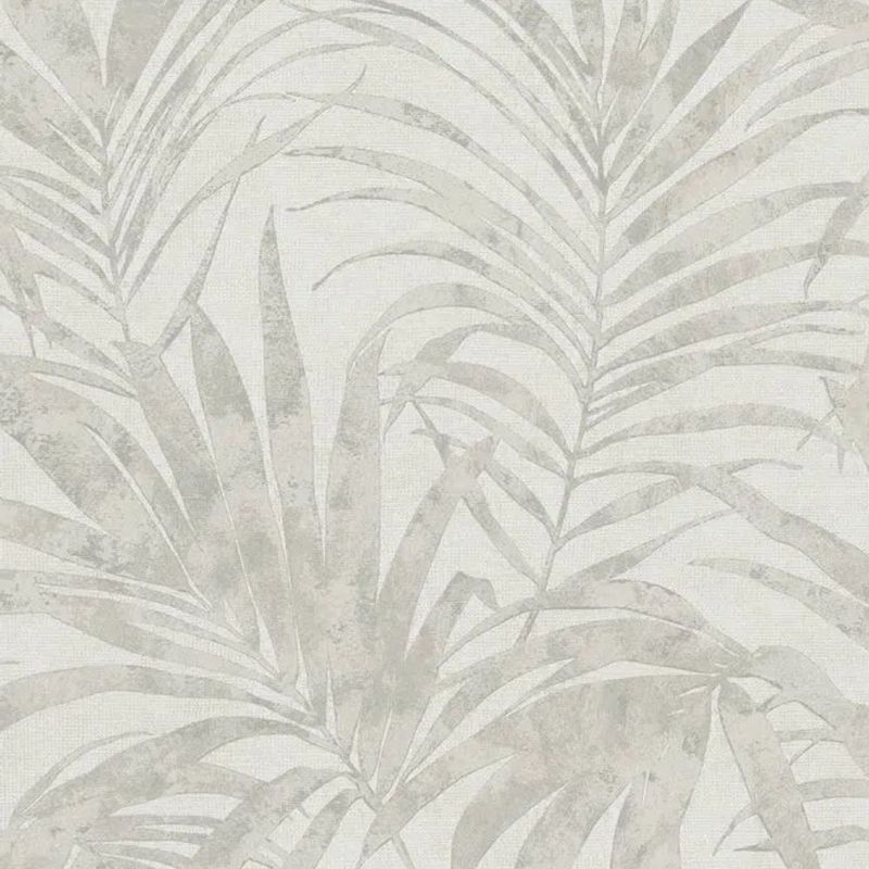 MKP005540000241-2