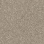 MKP005540000255-1