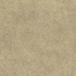 MKP005540001364-1