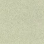 MKP005540002763-1