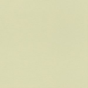 Papel De Parede Bambino Xviii Cor única 531435 Rolo 10m X 0,53m