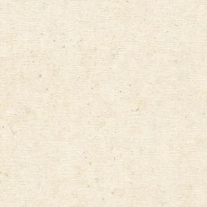 Papel De Parede Concrete Concreto Bege 520835-c