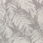 MKP005540006081-1