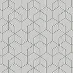 MKP005540006313-1