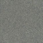 MKP005540007023-2