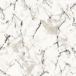 MKP005540009404-1
