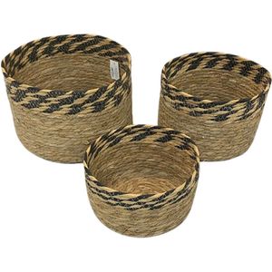 Kit 3 Cestos Em Palha Organizadores Decorativos Multitamanhos Palha
