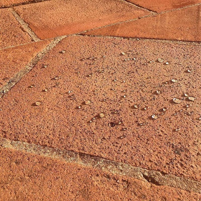 MKP005916000045-10