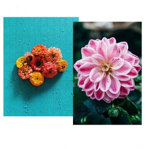 Kit 2 Quebra-cabeças Cognitivo P-idosas Flores Brasil 60pçs