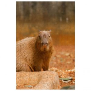 Quebra-cabeça Capivara De 60 Peças