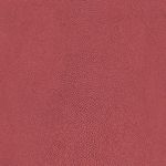 MKP005540000341-1