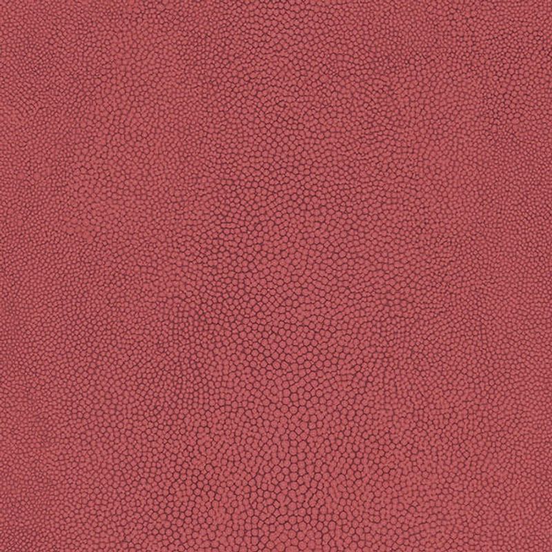 MKP005540000341-1