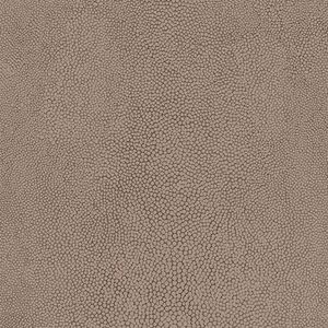 Papel De Parede Natural Fx Lizard Skin G67467 - Rolo: 10m X 0,53m